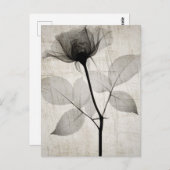 ヴィンテージ付きX線葉花 ポストカード (正面/裏面)