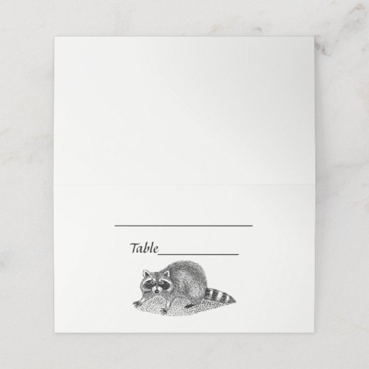 ヴィンテージ仮面ラクーン プレイスカード (外部開封)