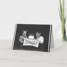 ヴィンテージ会の猫