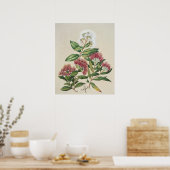 ヴィンテージ低木開花 ポスター (キッチン)