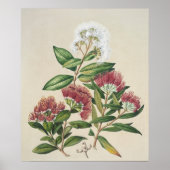 ヴィンテージ低木開花 ポスター (正面)