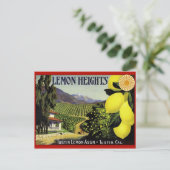 ヴィンテージ作成ラベル葉書 ポストカード (スタンド正面)