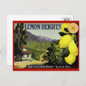 ヴィンテージ作成ラベル葉書 ポストカード (正面/裏面)