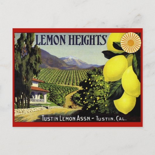 ヴィンテージ作成ラベル葉書 ポストカード (正面)