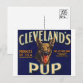 ヴィンテージ作成ラベル葉書 ポストカード (正面/裏面)