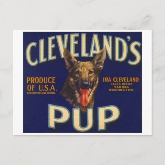 ヴィンテージ作成ラベル葉書 ポストカード (正面)