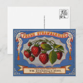 ヴィンテージ作成ラベル葉書 ポストカード (正面/裏面)