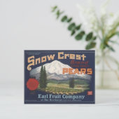 ヴィンテージ作成ラベル葉書 ポストカード (スタンド正面)