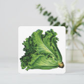 ヴィンテージ健康食品グリーンリーフレタス活性化 (スタンド正面)