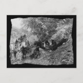 ヴィンテージ先住民アメリカのApacheストーリーテリング ポストカード (正面)