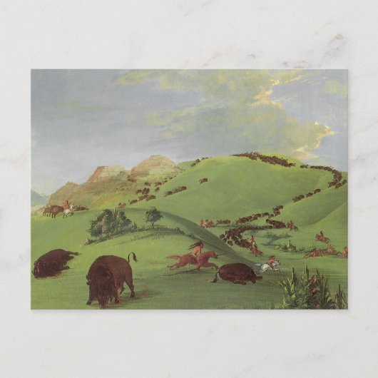 ヴィンテージ先住民、バッファロー・チェイス・バイ・カトリン ポストカード (正面)