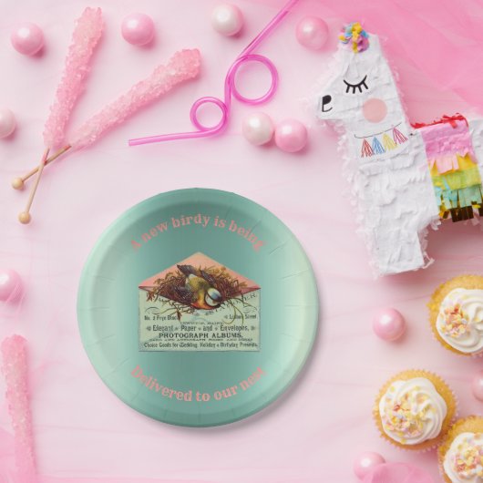 ヴィンテージ入り鳥の赤ちゃんシャワー ペーパープレート (パーティー)