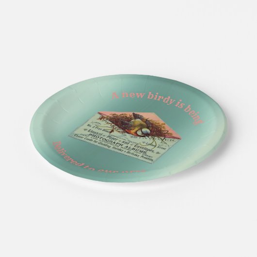 ヴィンテージ入り鳥の赤ちゃんシャワー ペーパープレート (アングル)