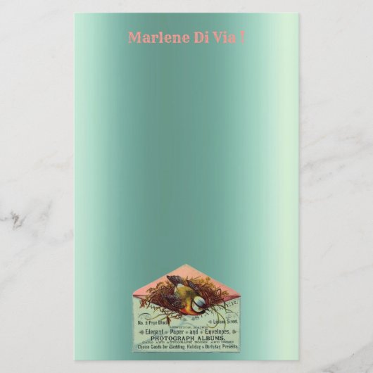 ヴィンテージ入れ鳥文房具 便箋 (正面)