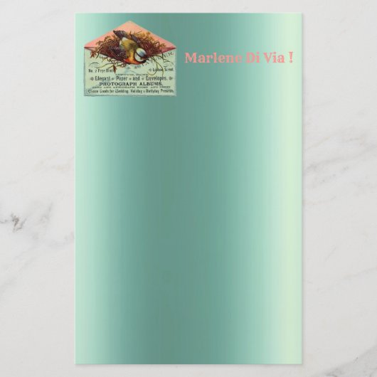 ヴィンテージ入れ鳥文房具 便箋 (正面)