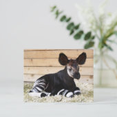 ヴィンテージ写真はがき ポストカード (スタンド正面)