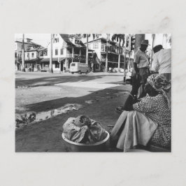 ヴィンテージ写真スリナム ポストカード