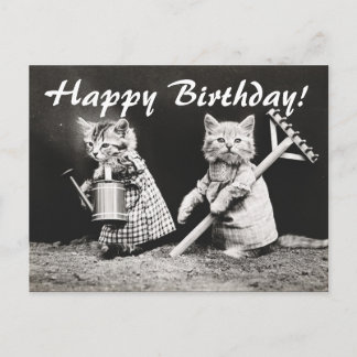 ヴィンテージ写真2匹の猫ガーデニングはがき ポストカード