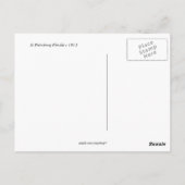 ヴィンテージ写真：サンクトペテルブルク・フロリダ ポストカード (裏面)