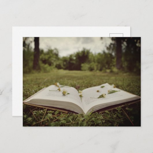ヴィンテージ写真 |ブックとワイルドフラワーの自然シーン ポストカード (正面/裏面)