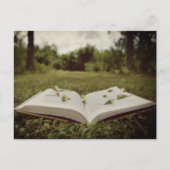 ヴィンテージ写真 |ブックとワイルドフラワーの自然シーン ポストカード (正面)