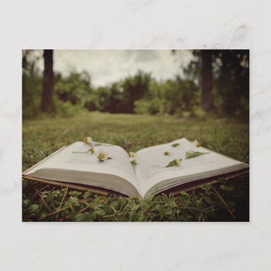 ヴィンテージ写真 |ブックとワイルドフラワーの自然シーン ポストカード (正面)