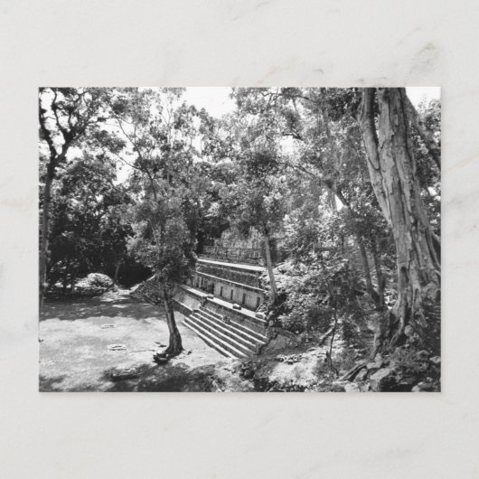 ヴィンテージ写真 – ホンジュラスのコパンマヤ遺跡  ポストカード (正面)