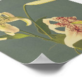 ヴィンテージ写真 ポスター (角)