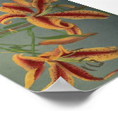 ヴィンテージ写真 ポスター (角)