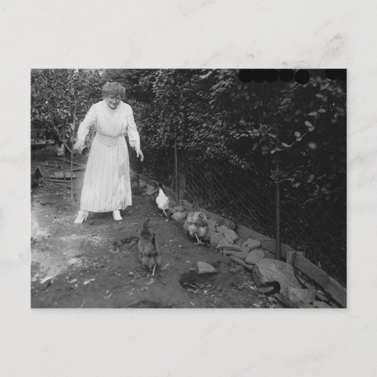 ヴィンテージ写真 ポストカード (正面)