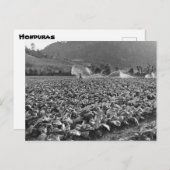 ヴィンテージ写真 ポストカード (正面/裏面)