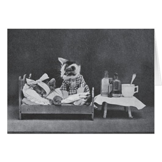 ヴィンテージ写真 – 常に犬を責め、 (正面横)