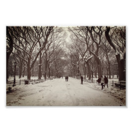 ヴィンテージ写真:The Mall, Central Park NY フォトプリント