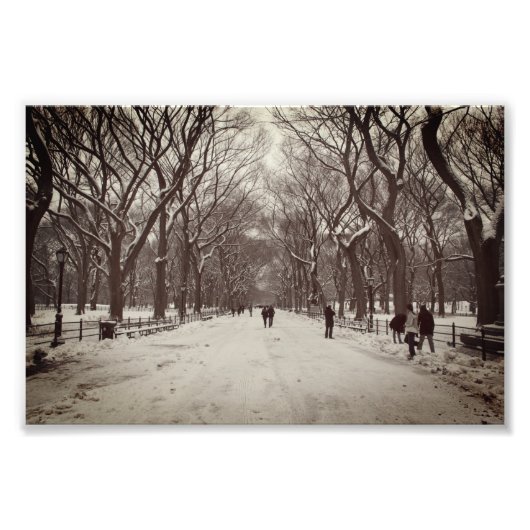 ヴィンテージ写真：The Mall, Central Park NY フォトプリント (正面)