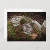 ヴィンテージ写真 | Wildflower Tea自然はがき ポストカード (正面/裏面)