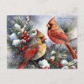 ヴィンテージ冬の（鳥）ショウジョウコウカンチョウ鳥雪のクリスマス シーズンポストカード (正面)