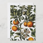 ヴィンテージ冬オレンジ3フォトコラージュ シーズンカード (裏面)