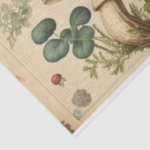 ヴィンテージ切り離し 薄葉紙 (詳細)