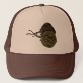 ヴィンテージ刺しエイ、海洋生物 キャップ (正面)