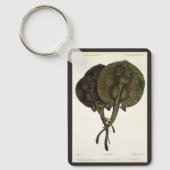 ヴィンテージ刺しエイ、海洋生物 キーホルダー (正面)