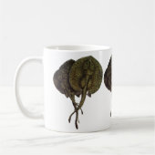 ヴィンテージ刺しエイ、海洋生物 コーヒーマグカップ (左)