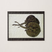 ヴィンテージ刺しエイ、海洋生物 ジグソーパズル (横)