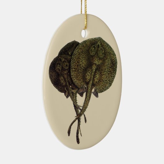 ヴィンテージ刺しエイ、海洋生物 セラミックオーナメント (右)