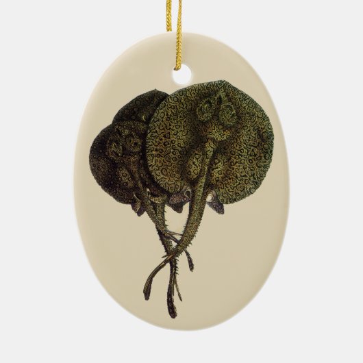 ヴィンテージ刺しエイ、海洋生物 セラミックオーナメント (裏面)