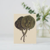 ヴィンテージ刺しエイ、海洋生物 ポストカード (スタンド正面)