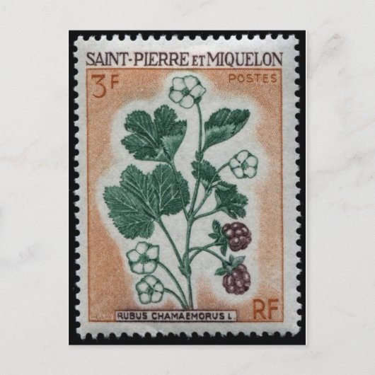 ヴィンテージ刻印はがき ポストカード (正面)