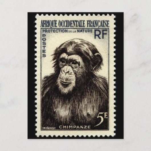 ヴィンテージ刻印はがき ポストカード (正面)