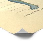 ヴィンテージ前脚の神経支配プリント ポスター (角)