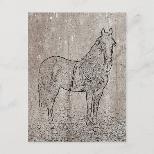 ヴィンテージ労働組合馬はがき ポストカード (正面)