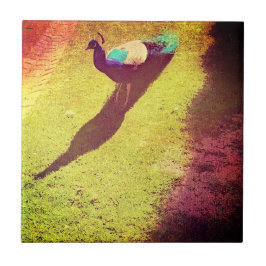 ヴィンテージ動揺してピーコック緑の芝生の上 タイル